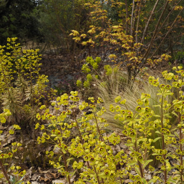 Jardin Otium Paysage Sarlat Paysagiste concepteur Dordogne