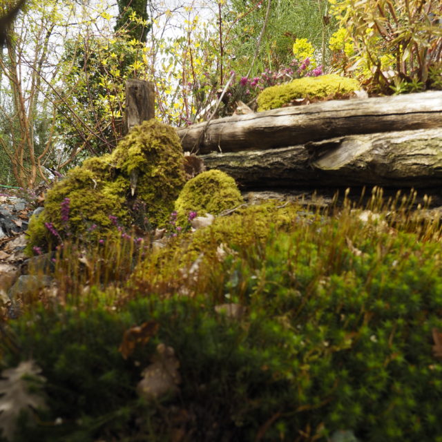 Jardin Otium Paysage Sarlat Paysagiste concepteur Dordogne