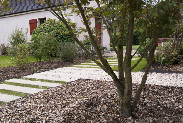 Plantation d'arbre dans le Lot, commune de Martel.