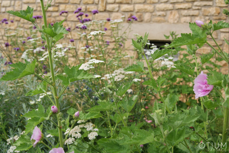 Paysagiste à Sarlat en Dordogne, composition de massifs, création de jardin