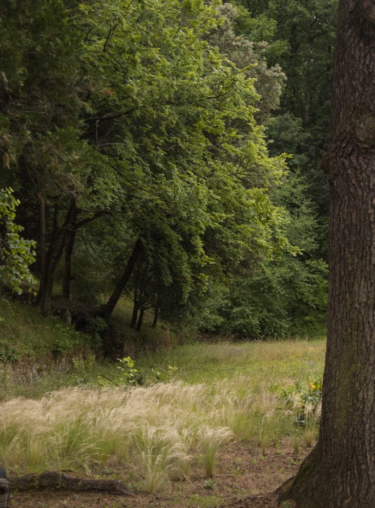 Création de parc en périgord noir