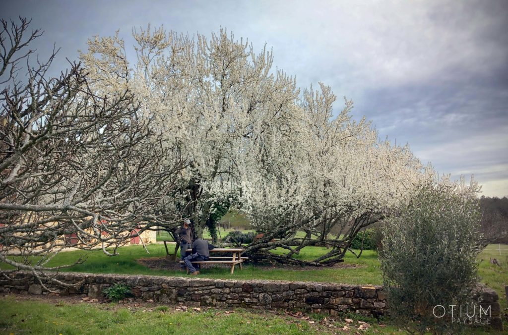 Aménagement d'un jardin sur la commune de Molière en Dordogne